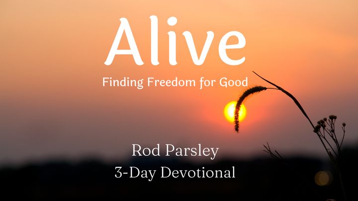 Alive: Finding Freedom for Good - 3-Day Devotional